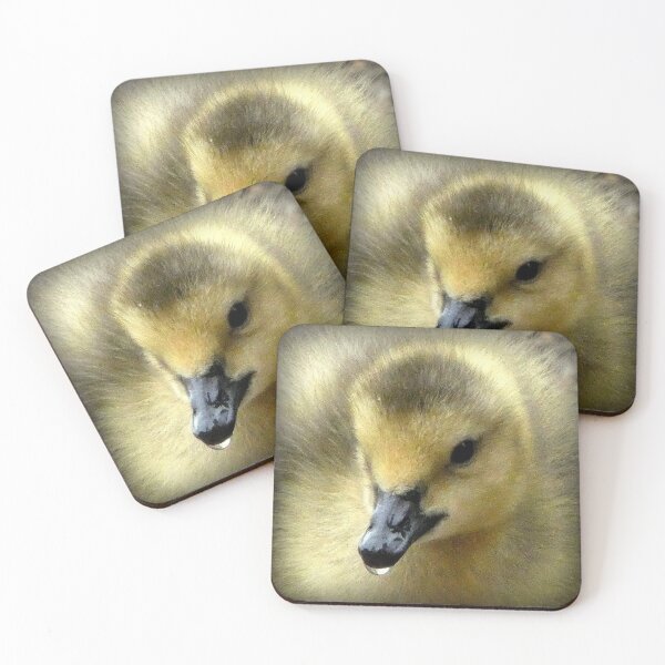 Item preview, Dribbling Fluffy duckling  designed and sold by jeffborrer.