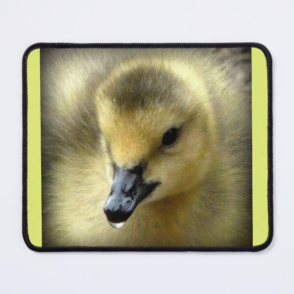 Item preview, Dribbling Fluffy duckling  designed and sold by jeffborrer.