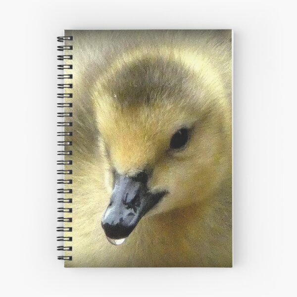 Item preview, Dribbling Fluffy duckling  designed and sold by jeffborrer.