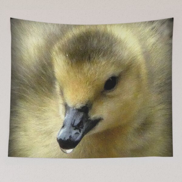 Item preview, Dribbling Fluffy duckling  designed and sold by jeffborrer.
