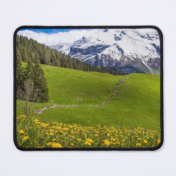 Item preview, Dandelions in May designed and sold by Viv Thompson Photography .