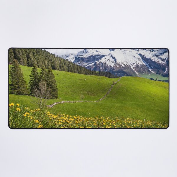 Item preview, Dientes de león en mayo designed and sold by Viv Thompson Photography .