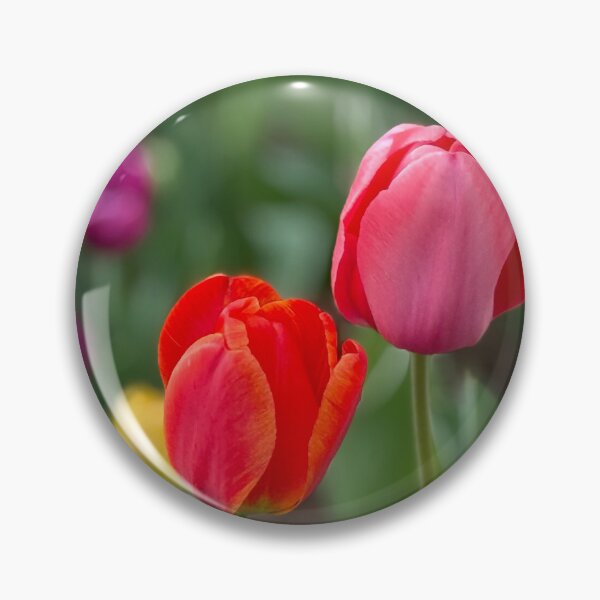 Item preview, Blooming Tulips designed and sold by Christine  Wilson Photos.