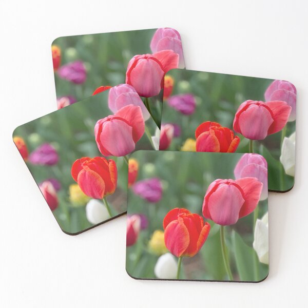 Item preview, Blooming Tulips designed and sold by Christine  Wilson Photos.