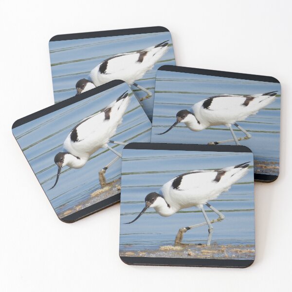 Item preview, Pied Avocet designed and sold by Karen Thomson.