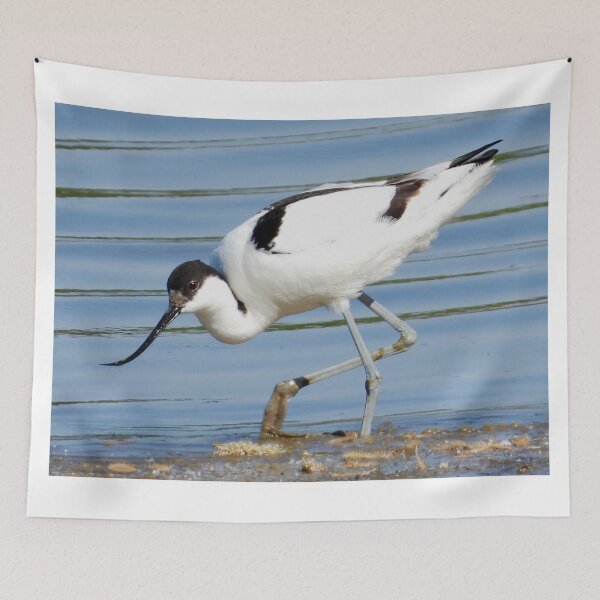 Item preview, Pied Avocet designed and sold by Karen Thomson.