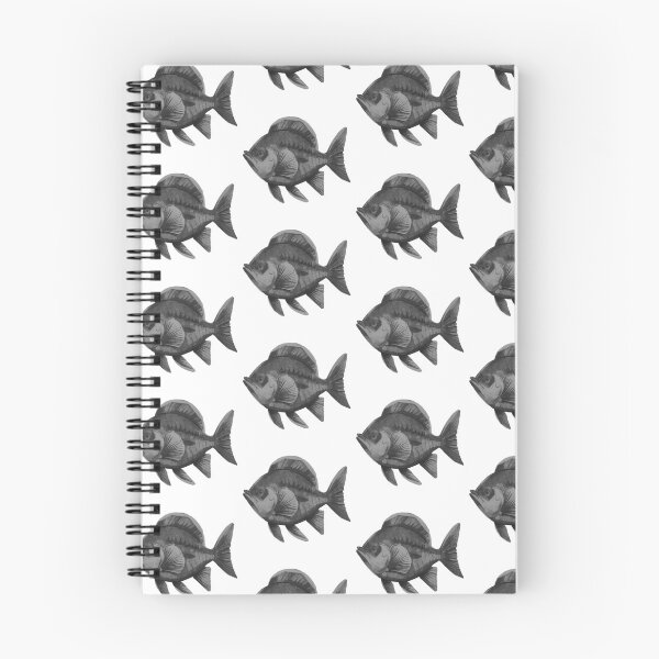 Item preview, Sunfish designed and sold by kinpirks.