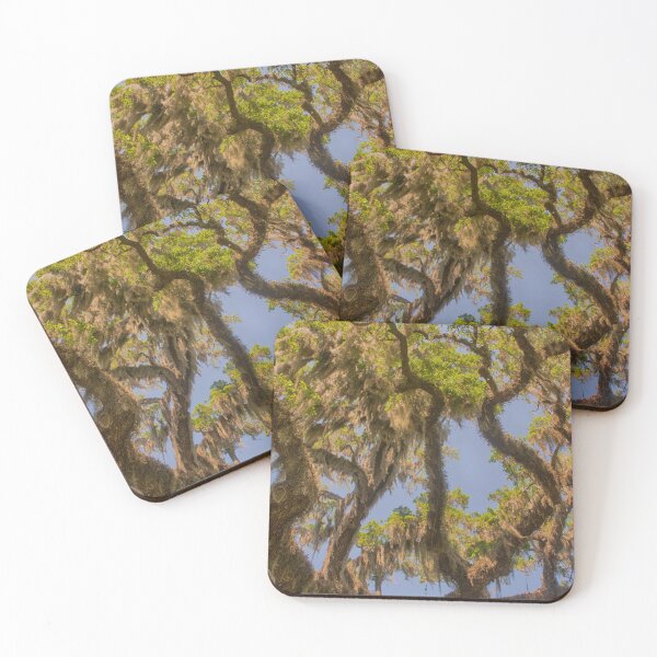 Item preview, Spanish Moss Growth designed and sold by Ruth Curtis.