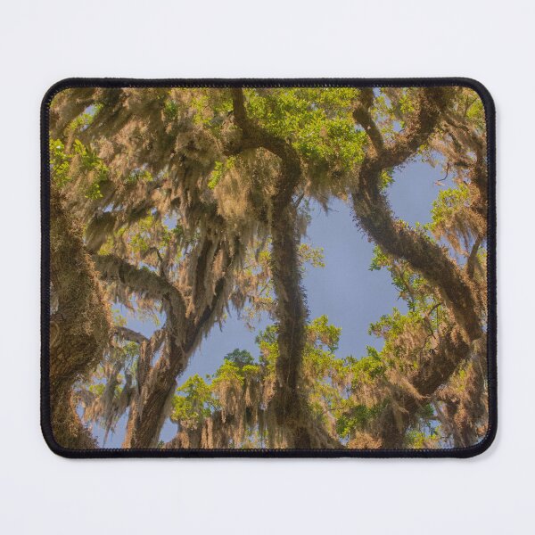 Item preview, Spanish Moss Growth designed and sold by Ruth Curtis.
