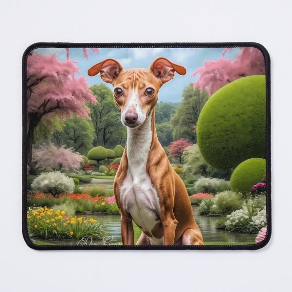 Item preview, Macy Red - White Italian Greyhound Dog Portrait Painting designed and sold by Heart and Soul Studio.