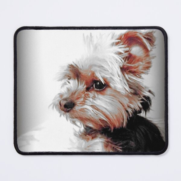 Item preview, Adorable Little Sad Yorkie Sitting in Profile Meme > Bad Day, Eh?! - Cute Yorkshire Terrier Dog designed and sold by Yorkie Love.