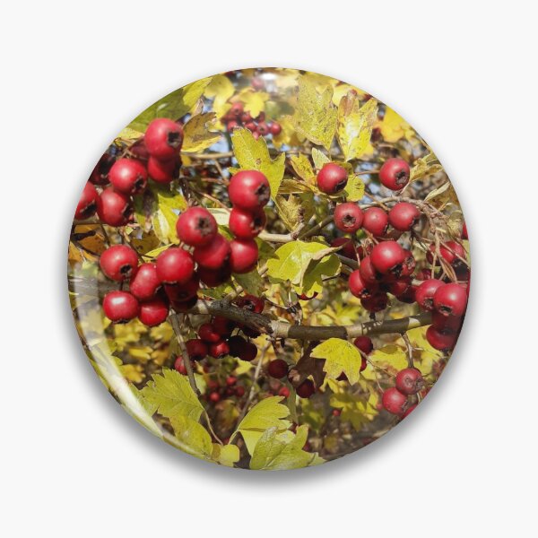 Item preview, Autumn gifts designed and sold by Ana Belaj.