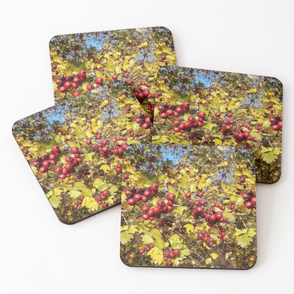 Item preview, Autumn gifts designed and sold by Ana Belaj.
