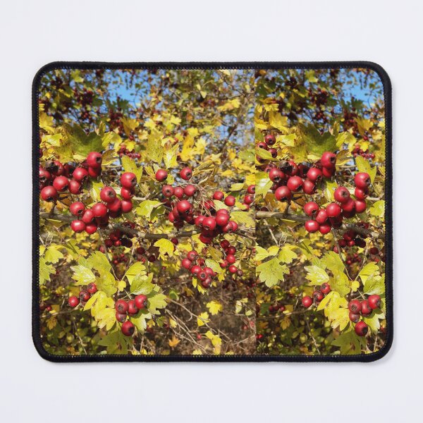 Item preview, Autumn gifts designed and sold by Ana Belaj.