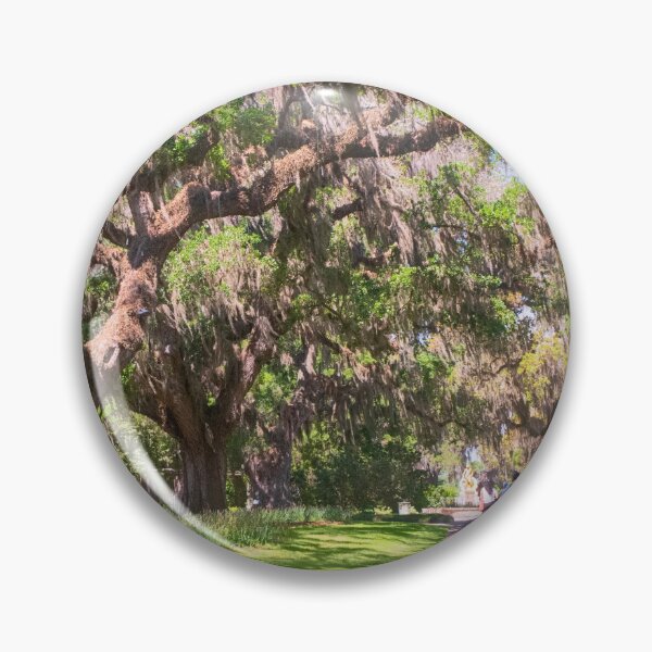 Item preview, Spanish Moss Walkway designed and sold by Ruth Curtis.