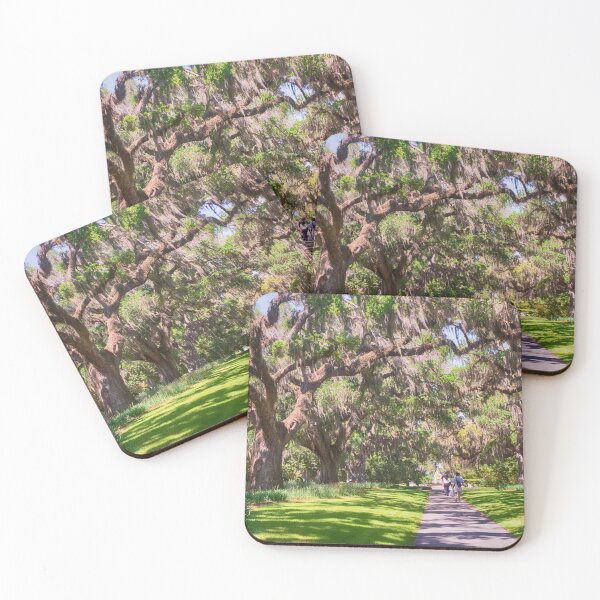 Item preview, Spanish Moss Walkway designed and sold by Ruth Curtis.