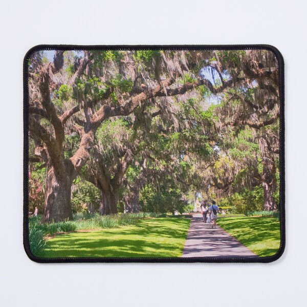 Item preview, Spanish Moss Walkway designed and sold by Ruth Curtis.