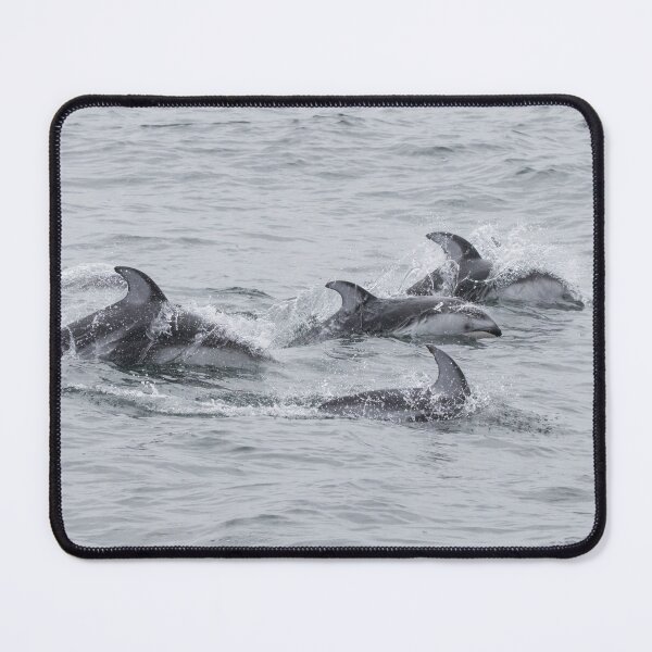Item preview, Pacific White Sided Dolphin designed and sold by LaurenTucker.