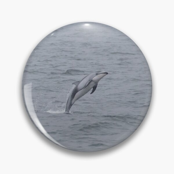Item preview, Pacific White Sided Dolphin designed and sold by LaurenTucker.