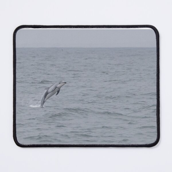 Item preview, Pacific White Sided Dolphin designed and sold by LaurenTucker.