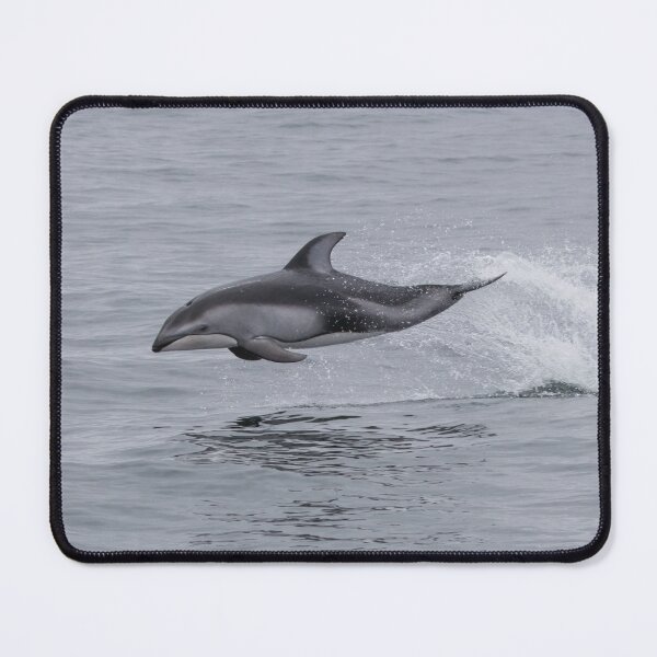 Item preview, Pacific White Sided Dolphin designed and sold by LaurenTucker.