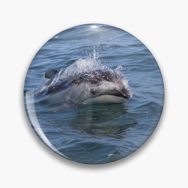 Item preview, Pacific White Sided Dolphin designed and sold by LaurenTucker.
