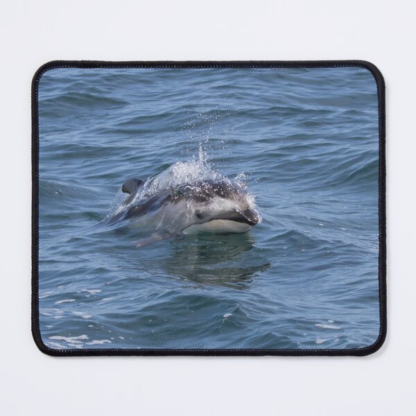 Item preview, Pacific White Sided Dolphin designed and sold by LaurenTucker.