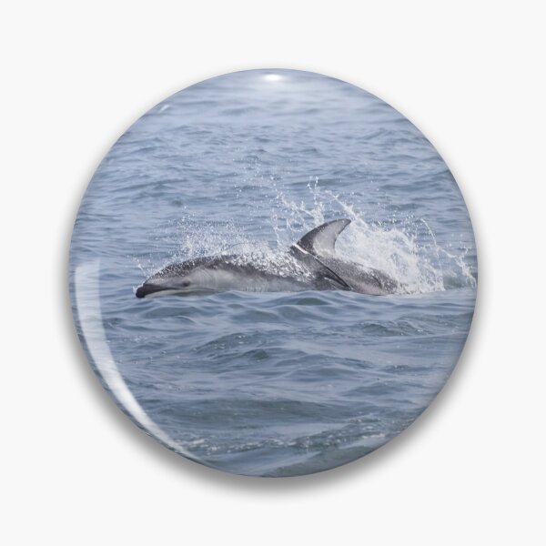 Item preview, Pacific White Sided Dolphin designed and sold by LaurenTucker.