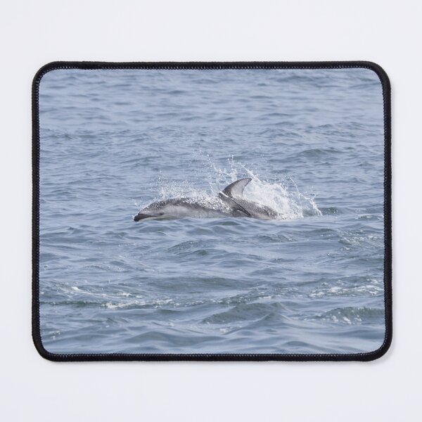 Item preview, Pacific White Sided Dolphin designed and sold by LaurenTucker.
