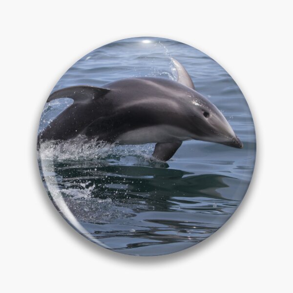 Item preview, Pacific White Sided Dolphin designed and sold by LaurenTucker.