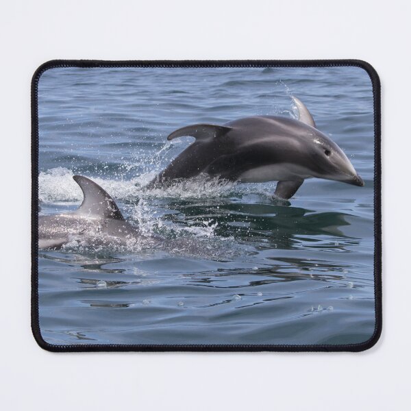 Item preview, Pacific White Sided Dolphin designed and sold by LaurenTucker.