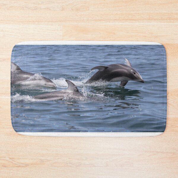 Item preview, Pacific White Sided Dolphin designed and sold by LaurenTucker.