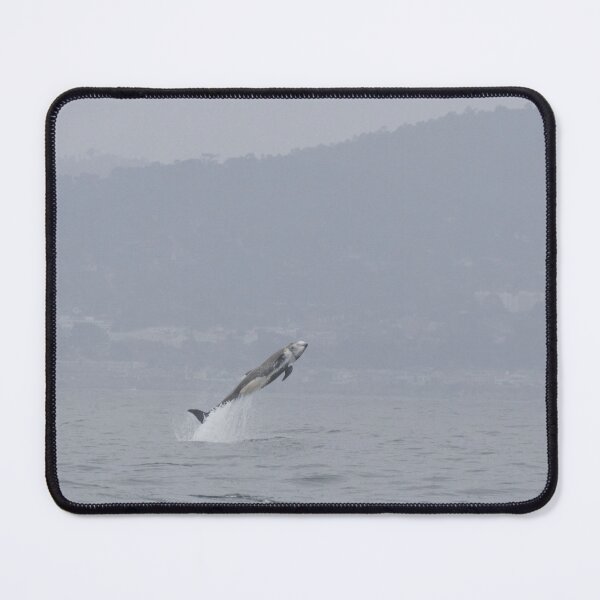 Item preview, Risso’s Dolphin designed and sold by LaurenTucker.