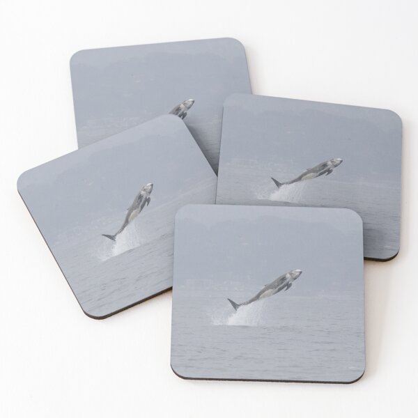 Item preview, Risso’s Dolphin designed and sold by LaurenTucker.