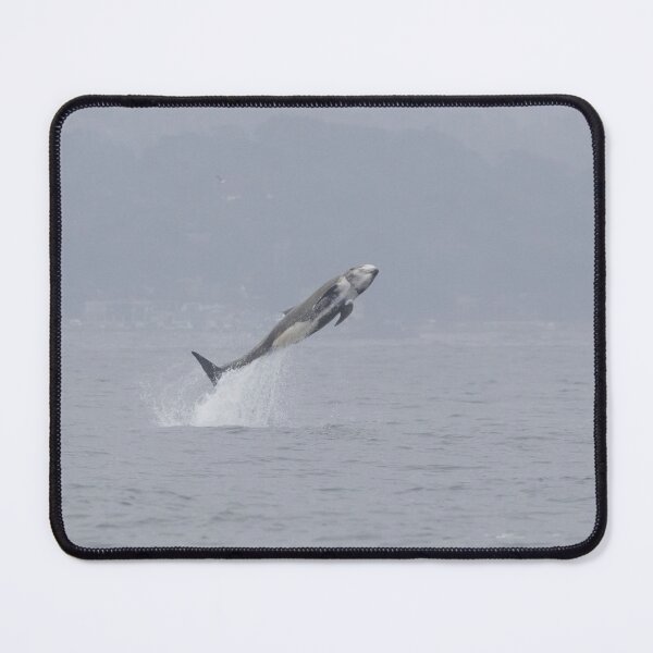 Item preview, Risso’s Dolphin designed and sold by LaurenTucker.