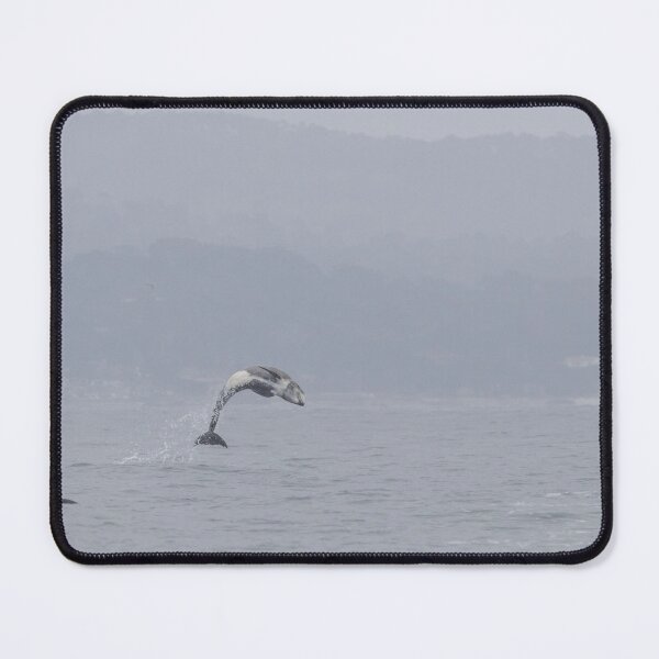 Item preview, Risso’s Dolphin designed and sold by LaurenTucker.
