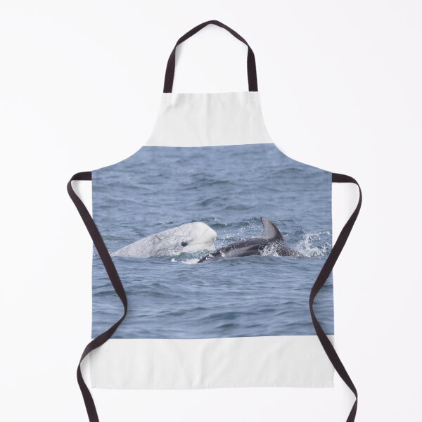 Item preview, Risso’s Dolphin designed and sold by LaurenTucker.