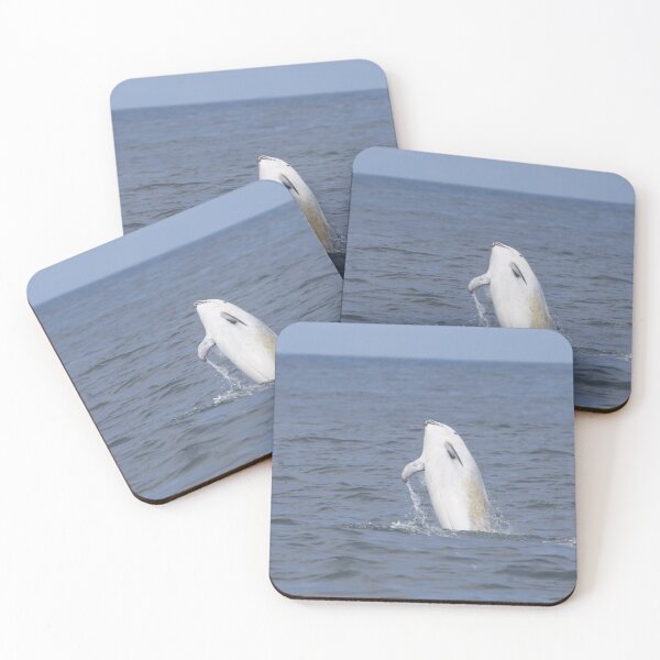 Item preview, Risso’s Dolphin designed and sold by LaurenTucker.