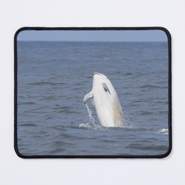 Item preview, Risso’s Dolphin designed and sold by LaurenTucker.