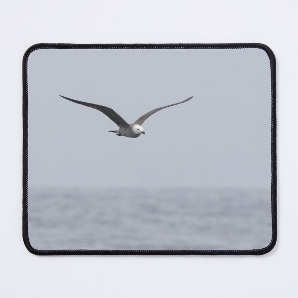 Item preview, Heermann's Gull designed and sold by LaurenTucker.