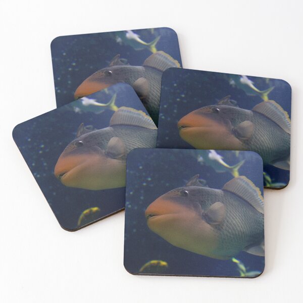 Item preview, Fish life designed and sold by ThalyArt.
