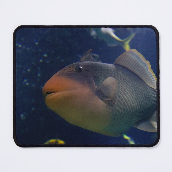 Item preview, Fish life designed and sold by ThalyArt.