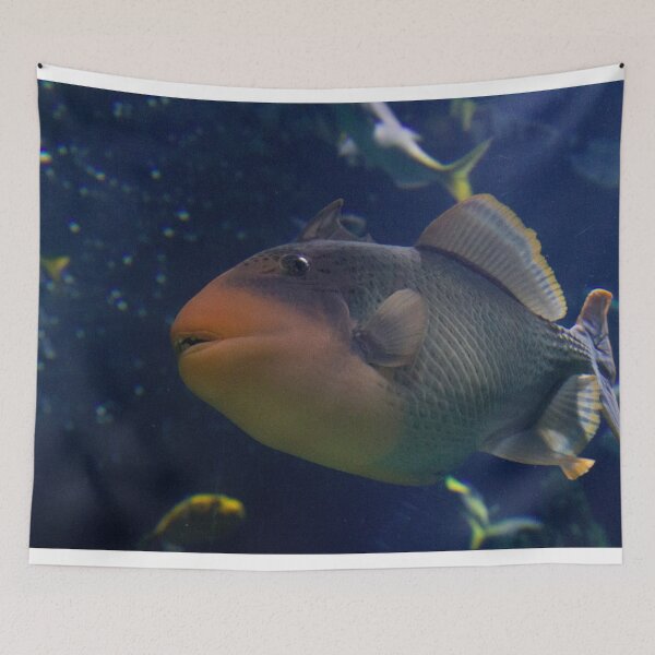 Item preview, Fish life designed and sold by ThalyArt.