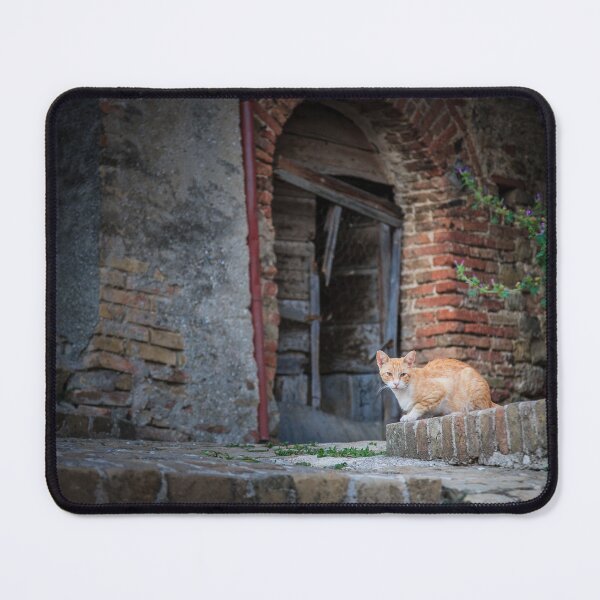 Item preview, Sarnano, historical center, Macerata, Italy. designed and sold by SoulEchoesPhoto.
