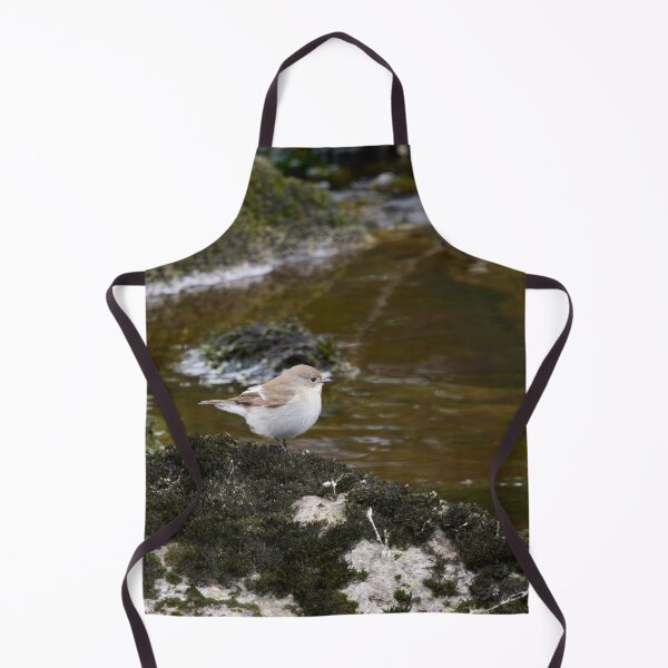 Item preview, Streaming. European pied flycatcher designed and sold by Jouko Lehto Photography.