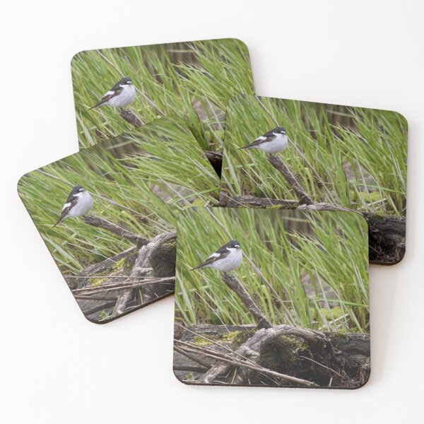 Item preview, Driftwood reuse. European pied flycatcher designed and sold by Jouko Lehto Photography.