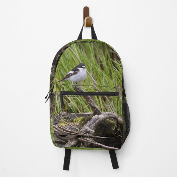 Item preview, Driftwood reuse. European pied flycatcher designed and sold by Jouko Lehto Photography.