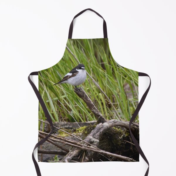 Item preview, Driftwood reuse. European pied flycatcher designed and sold by Jouko Lehto Photography.
