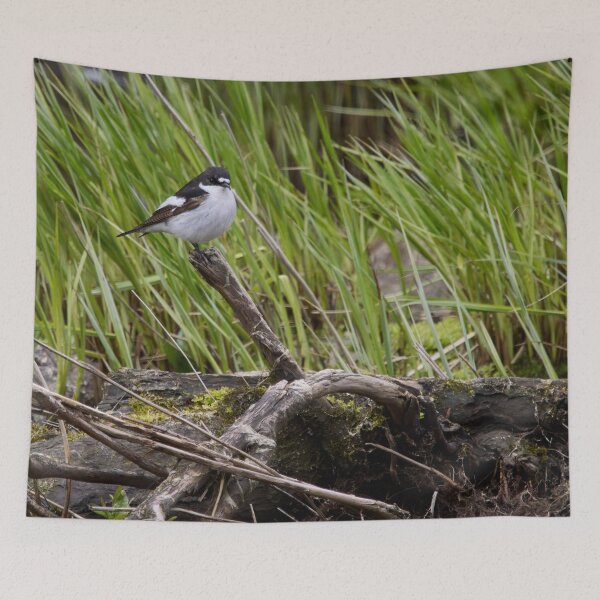 Item preview, Driftwood reuse. European pied flycatcher designed and sold by Jouko Lehto Photography.