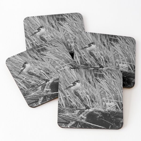 Item preview, Driftwood reuse. European pied flycatcher bw designed and sold by Jouko Lehto Photography.